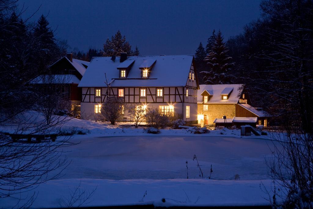 Romantik Hotel Landhaus Baerenmuehle Frankenau 外观 照片