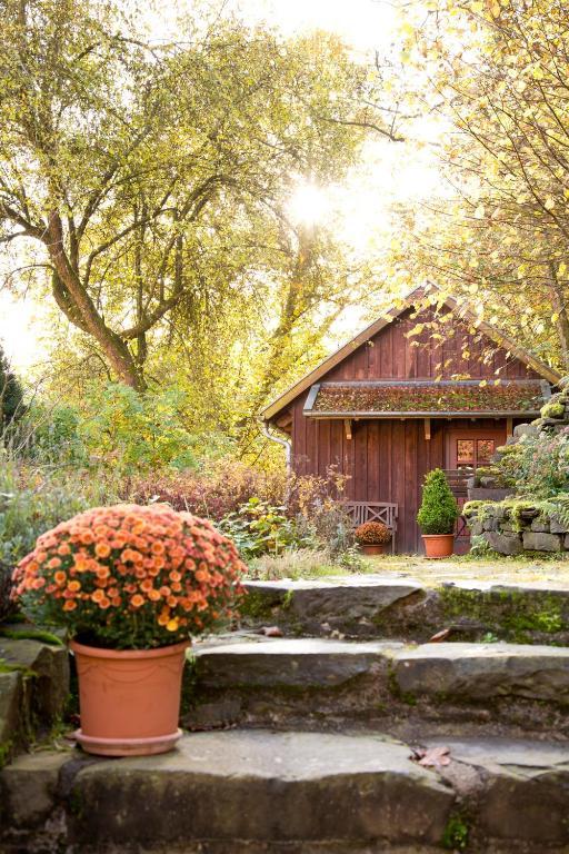 Romantik Hotel Landhaus Baerenmuehle Frankenau 外观 照片