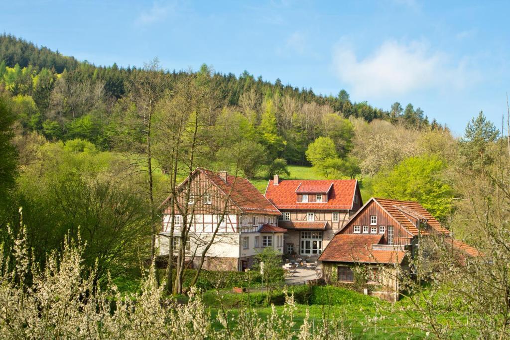 Romantik Hotel Landhaus Baerenmuehle Frankenau 外观 照片